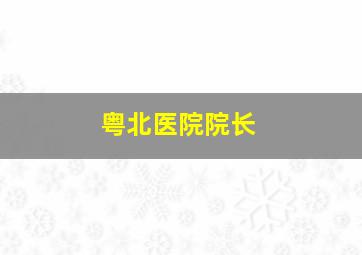 粤北医院院长