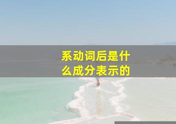 系动词后是什么成分表示的