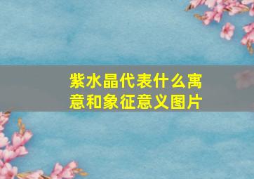 紫水晶代表什么寓意和象征意义图片