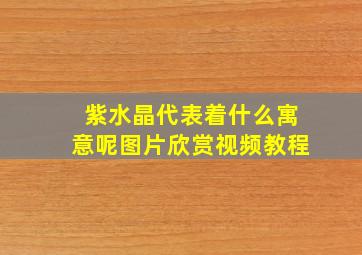 紫水晶代表着什么寓意呢图片欣赏视频教程