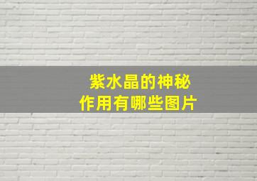 紫水晶的神秘作用有哪些图片