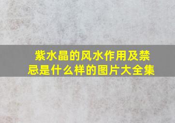 紫水晶的风水作用及禁忌是什么样的图片大全集