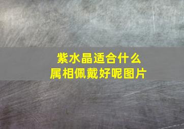 紫水晶适合什么属相佩戴好呢图片