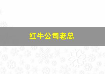 红牛公司老总