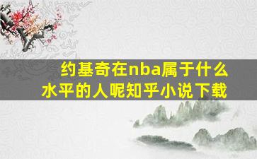 约基奇在nba属于什么水平的人呢知乎小说下载