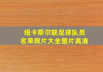 纽卡斯尔联足球队员名单照片大全图片高清