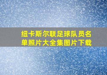 纽卡斯尔联足球队员名单照片大全集图片下载