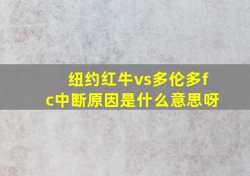 纽约红牛vs多伦多fc中断原因是什么意思呀