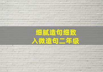 细腻造句细致入微造句二年级