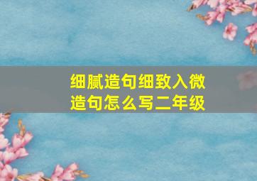 细腻造句细致入微造句怎么写二年级