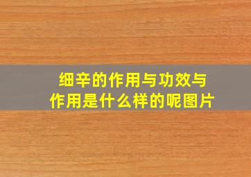 细辛的作用与功效与作用是什么样的呢图片