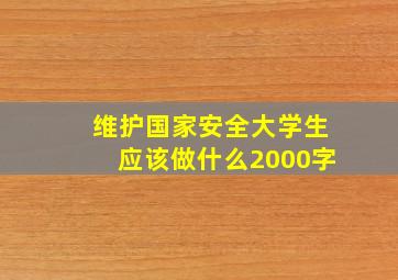 维护国家安全大学生应该做什么2000字