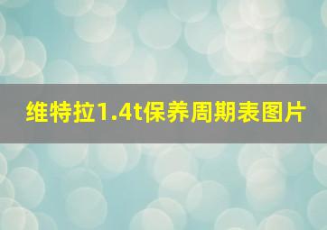 维特拉1.4t保养周期表图片