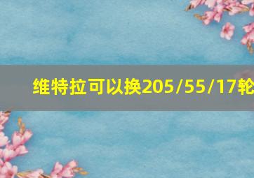 维特拉可以换205/55/17轮