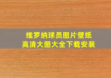 维罗纳球员图片壁纸高清大图大全下载安装