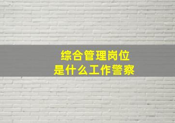 综合管理岗位是什么工作警察