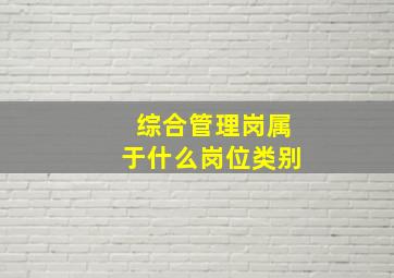 综合管理岗属于什么岗位类别