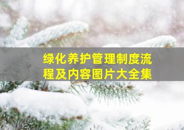 绿化养护管理制度流程及内容图片大全集