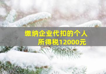 缴纳企业代扣的个人所得税12000元