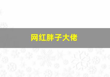 网红胖子大佬