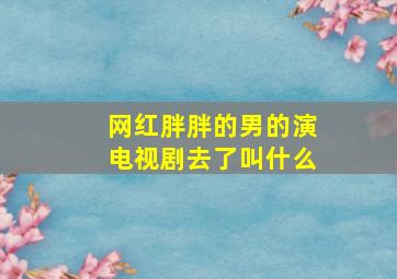 网红胖胖的男的演电视剧去了叫什么