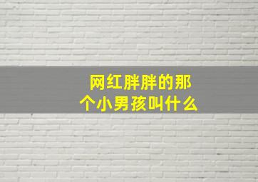 网红胖胖的那个小男孩叫什么