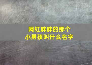 网红胖胖的那个小男孩叫什么名字