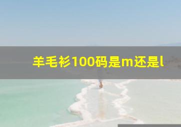 羊毛衫100码是m还是l