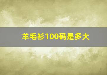 羊毛衫100码是多大