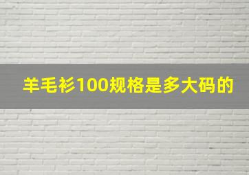 羊毛衫100规格是多大码的