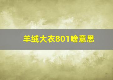 羊绒大衣801啥意思