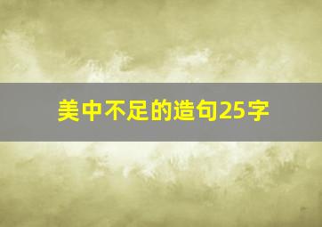 美中不足的造句25字