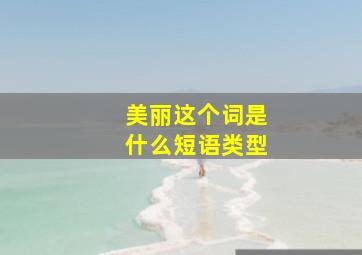 美丽这个词是什么短语类型