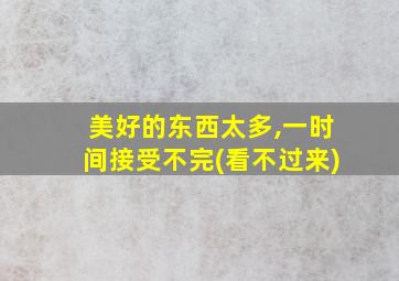 美好的东西太多,一时间接受不完(看不过来)