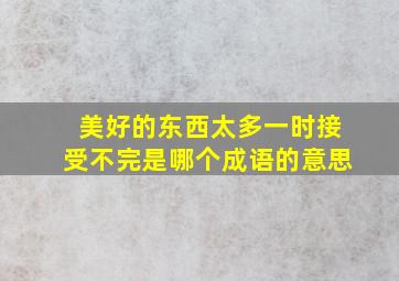 美好的东西太多一时接受不完是哪个成语的意思