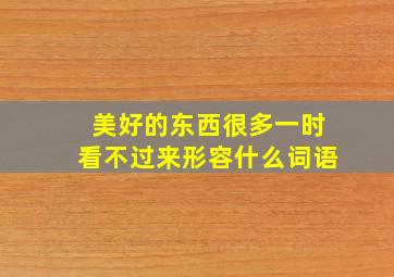 美好的东西很多一时看不过来形容什么词语