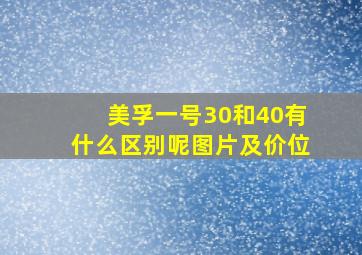 美孚一号30和40有什么区别呢图片及价位