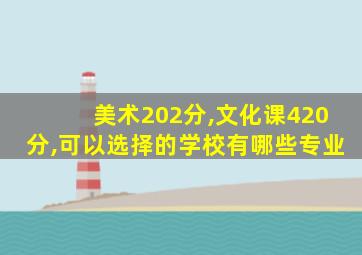 美术202分,文化课420分,可以选择的学校有哪些专业