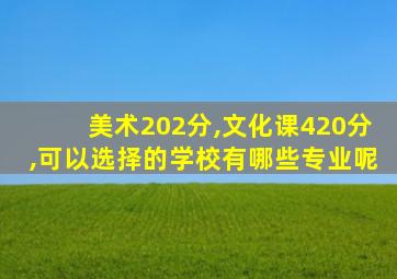 美术202分,文化课420分,可以选择的学校有哪些专业呢