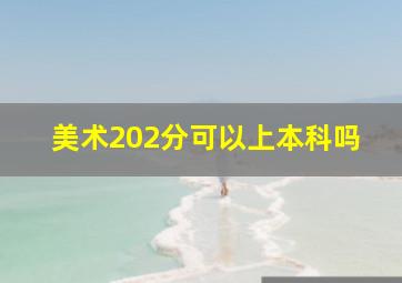 美术202分可以上本科吗