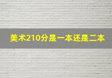 美术210分是一本还是二本