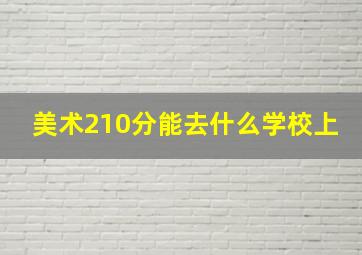 美术210分能去什么学校上