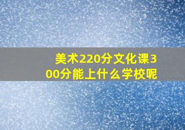 美术220分文化课300分能上什么学校呢