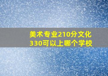 美术专业210分文化330可以上哪个学校