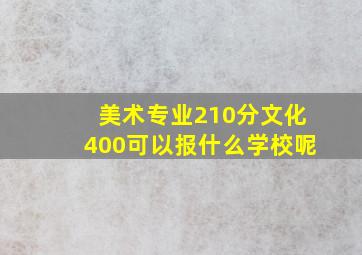 美术专业210分文化400可以报什么学校呢