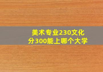 美术专业230文化分300能上哪个大学