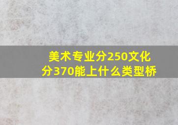 美术专业分250文化分370能上什么类型桥