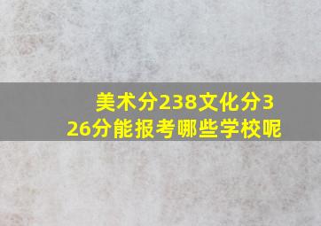 美术分238文化分326分能报考哪些学校呢