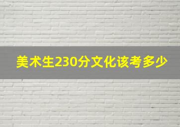 美术生230分文化该考多少