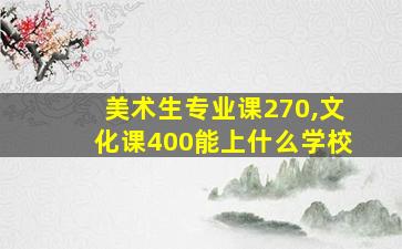 美术生专业课270,文化课400能上什么学校